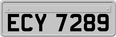 ECY7289