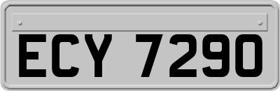 ECY7290