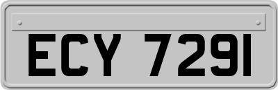 ECY7291