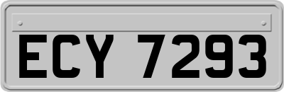 ECY7293
