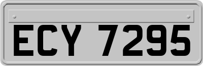 ECY7295