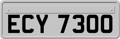 ECY7300