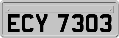 ECY7303