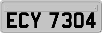 ECY7304