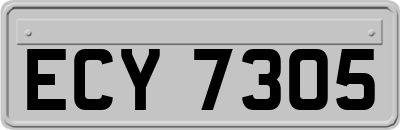 ECY7305