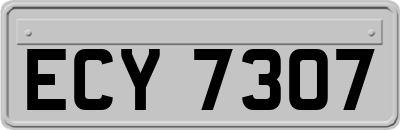 ECY7307