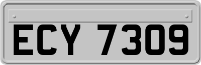 ECY7309