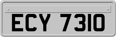 ECY7310