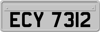 ECY7312