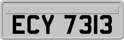 ECY7313