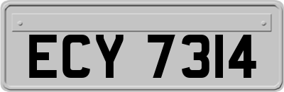 ECY7314