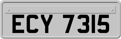 ECY7315