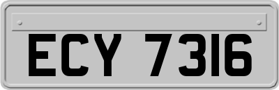 ECY7316