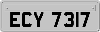 ECY7317
