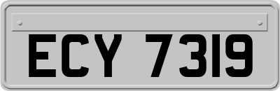 ECY7319