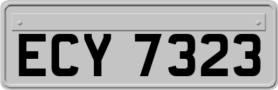 ECY7323