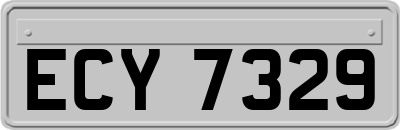 ECY7329