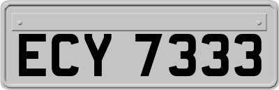 ECY7333