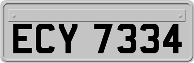 ECY7334