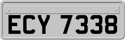 ECY7338