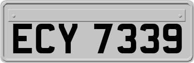 ECY7339