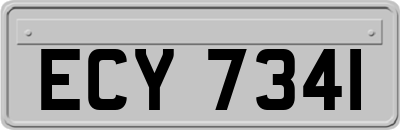 ECY7341