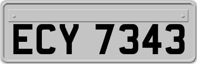 ECY7343