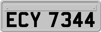 ECY7344