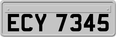 ECY7345