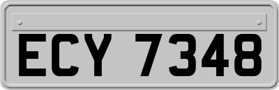 ECY7348