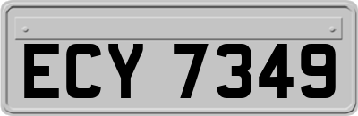 ECY7349