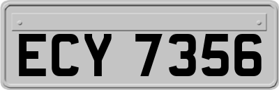 ECY7356