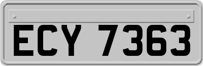 ECY7363