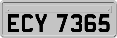 ECY7365