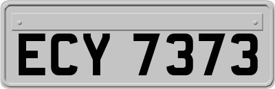 ECY7373