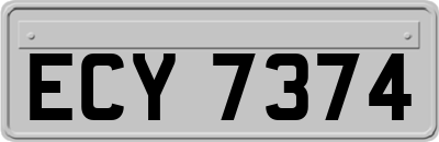 ECY7374