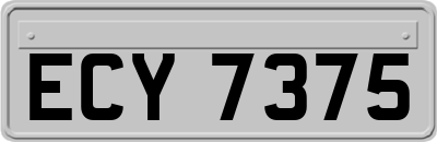 ECY7375
