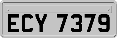 ECY7379