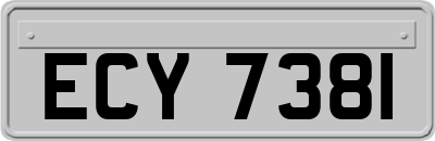 ECY7381