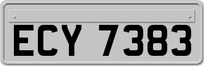 ECY7383