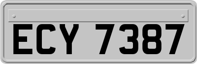 ECY7387