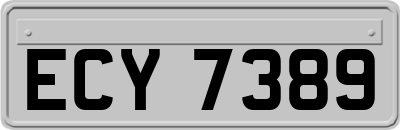 ECY7389