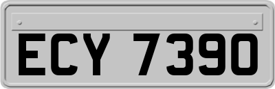 ECY7390