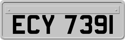ECY7391