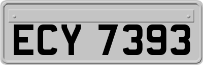 ECY7393