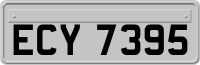 ECY7395