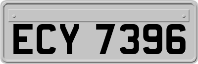 ECY7396