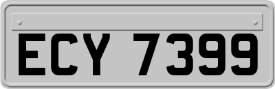 ECY7399