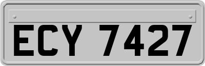 ECY7427