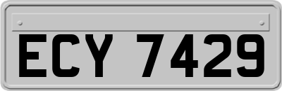 ECY7429